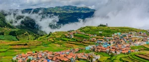 Ooty is a picturesque hill station known for its lush greenery