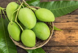 Exploring the Health Benefits of Raw Mangoes