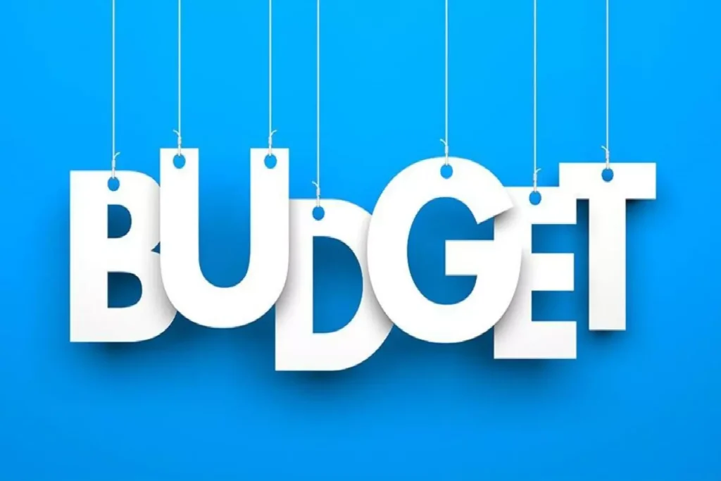 Budget 2024: Terms from finance minister's speech