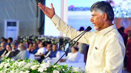 Image of N. Chandrababu Naidu speaking at a political event